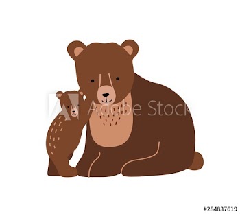 Brown bear and cub isolated on white background
