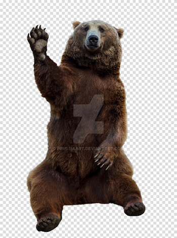 Brown bear on a transparent background. by PRUSSIAART on DeviantArt