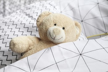 Brown Bear Plush Toy