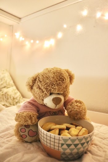 Brown Bear Plush Toy