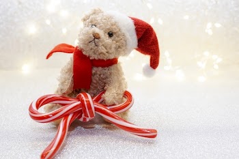Brown Bear Plush Toy With Bow Candy
