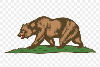Brown bear png sticker, transparent | Free PNG - rawpixel