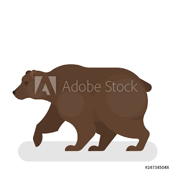 Brown bear wild animal from the forest