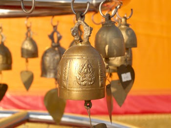 Brown Bell Lot