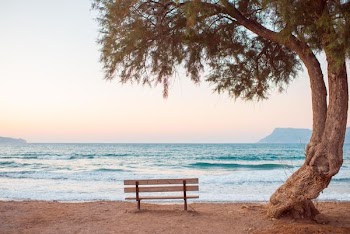 brown bench near seashore