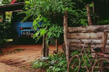 brown bicycle