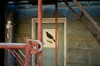 Brown Bird Painting on Door