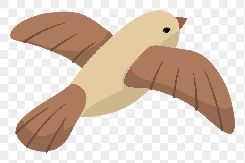 Brown bird png sticker, cute | Free PNG Illustration - rawpixel