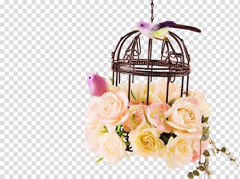 Brown birdcage with yellow roses illustration, Birdcage , Rose bird cage decoration pattern transparent background PNG clipart
