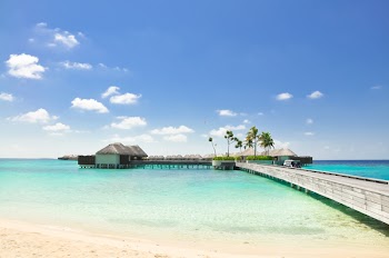 Brown Boat Dock Under Blue and White Skies