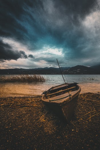 Brown Boat on Beach Line