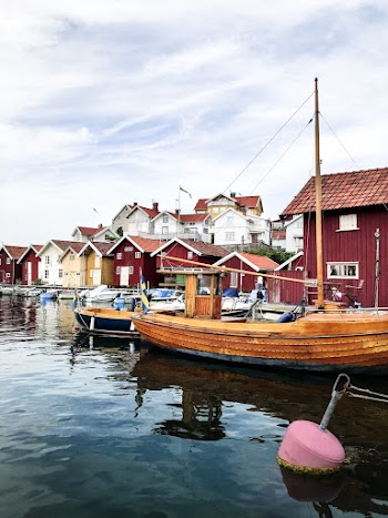 Brown Boat on Body of Water