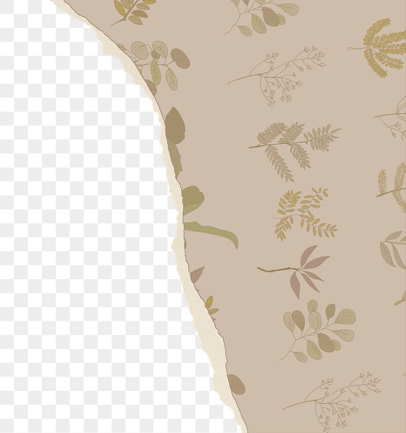 Brown botanical png border, torn | Free PNG - rawpixel