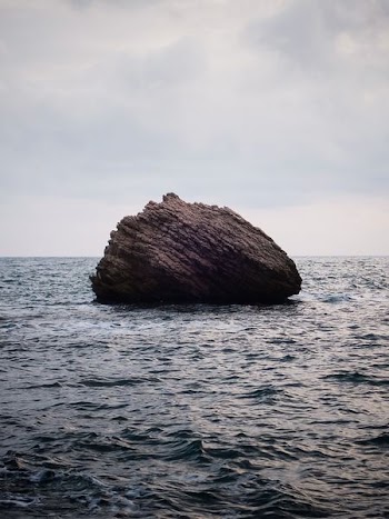 brown boulder on water