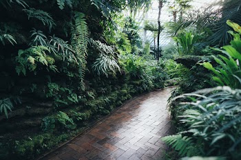 Brown Brick Garden Pathway