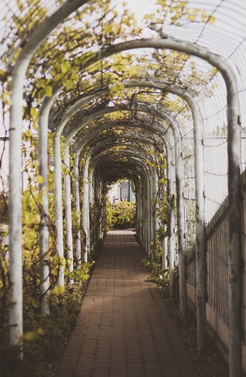 Brown Brick Pathway With White Arch Roof