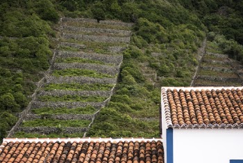 Brown Brick Roof Building Near Green Rass Covered Ground