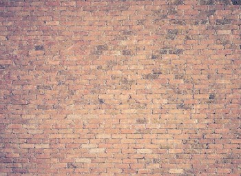 brown brick wall photography