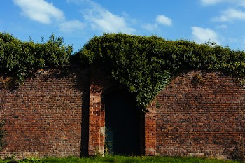 Brown Brick Wall Surrounded With Green Plant