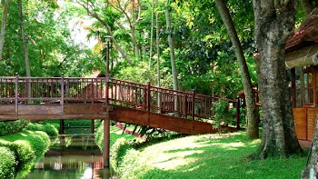 Brown Bridge and River