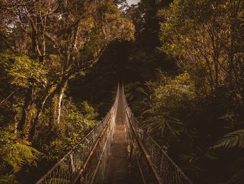 brown bridge in middle of juggle
