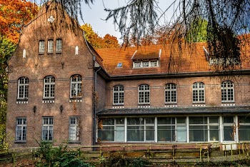 Brown Building