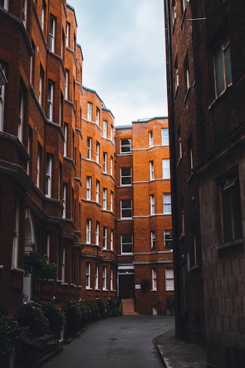 Brown Building