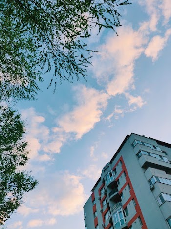 Brown Building Photography