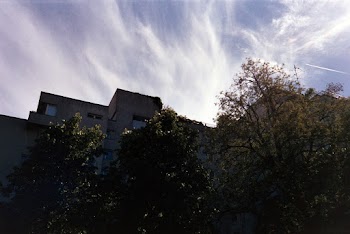 Brown Buildings