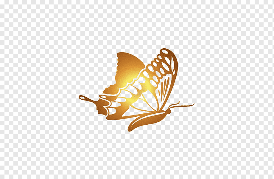 brown butterfly illustration, Butterfly Gold Software, Golden Butterfly, blue, golden Frame, orange png