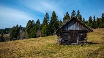 Brown Cabin