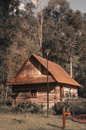 Brown Cabin Besides Green Trees