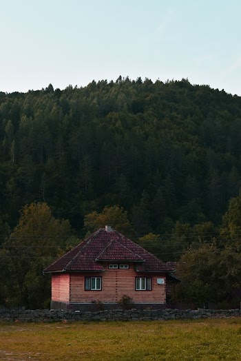 Brown Cabin Near Trees