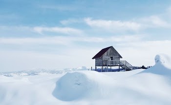 brown cabin on snowy iland