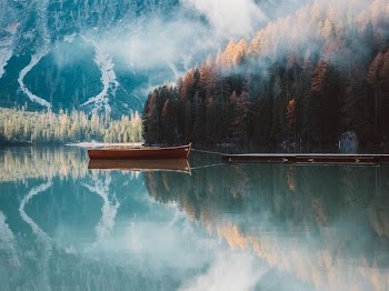 brown canoe on body of water near forest under fog