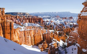 Brown Canyon