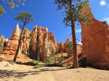 Brown Canyon