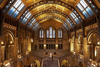 brown cathedral