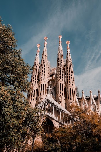 Brown Cathedral