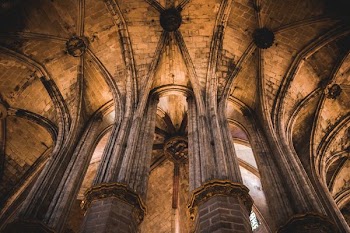 brown cathedral ceiling