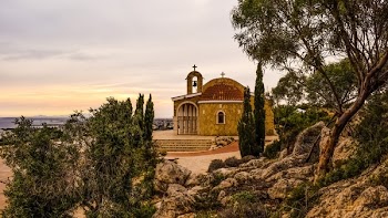 Brown Cathedral Near Forest