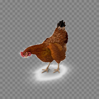 Brown Chicken PNG Image