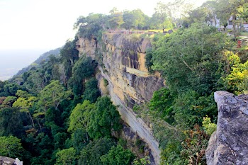 Brown Cliff Cover by Trees