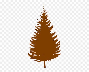 Brown Clipart Pine Tree - Pine Tree Silhouette Vector