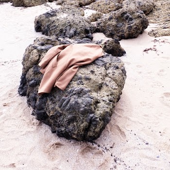 Brown Coat on Black Stone