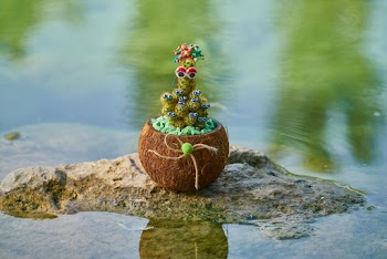 Brown Coconut Fruit on Rock