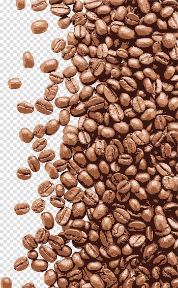 Brown coffee bean lot, Coffee Latte Cappuccino Espresso Cafe, Hand painted brown coffee beans transparent background PNG clipart