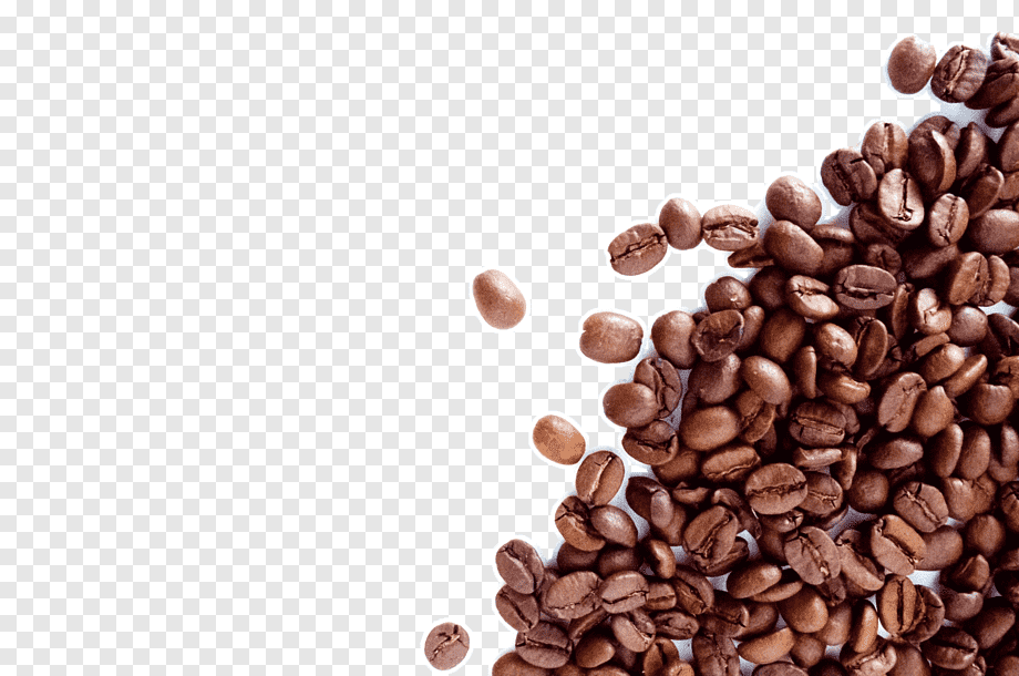 brown coffee beans, The Coffee Bean & Tea Leaf Espresso Cafe Dolce Gusto, coffee beans, coffee, superfood, bean png