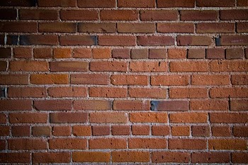 brown concrete bricked wall