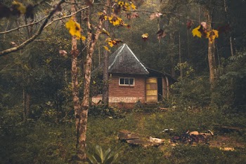 Brown Concrete Building